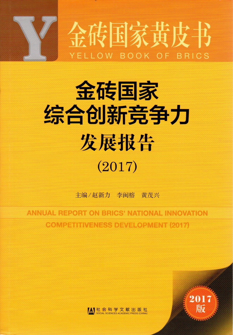 插逼不打马赛克的动漫金砖国家综合创新竞争力发展报告（2017）